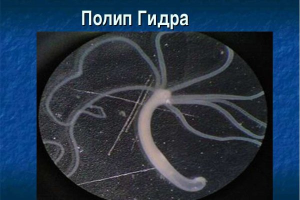Кракен ссылка 2 веб